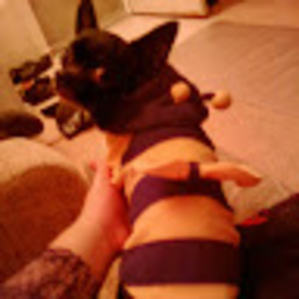 Meet your Posher, Killer